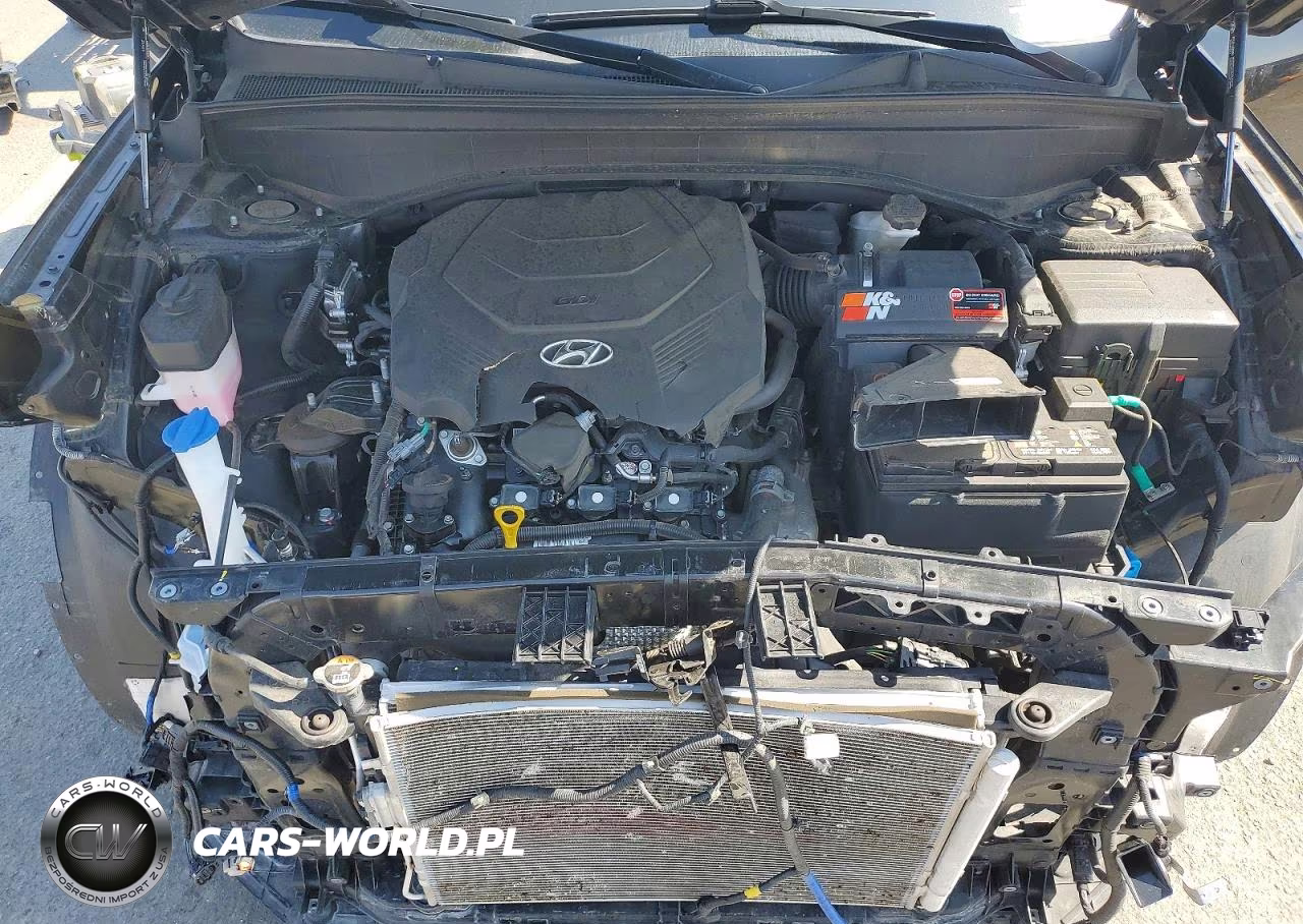 2024 Hyundai Palisade Calligraphy VIN:KM8R7DGE3RU685169 - 12