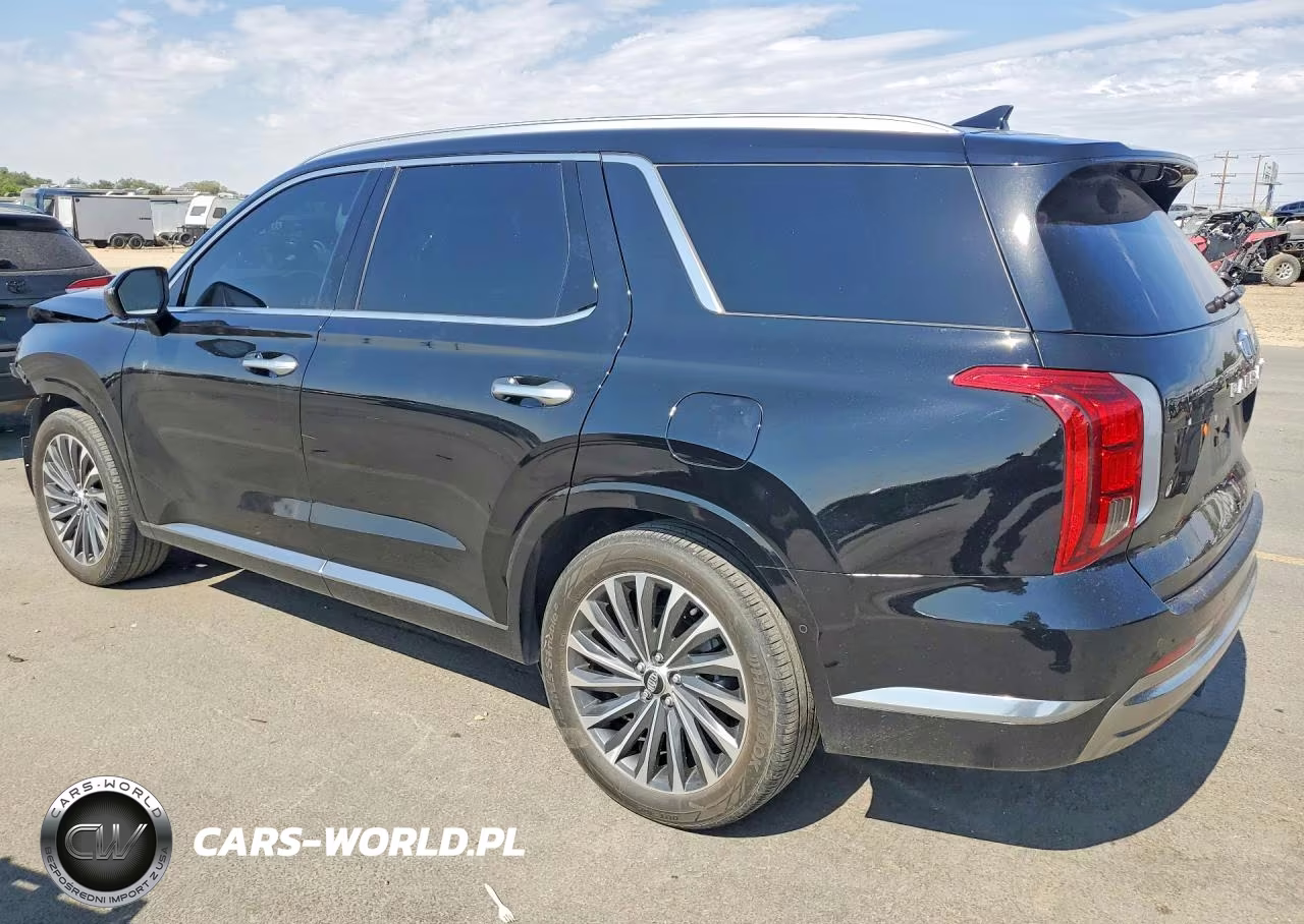 2024 Hyundai Palisade Calligraphy VIN:KM8R7DGE3RU685169 - 2