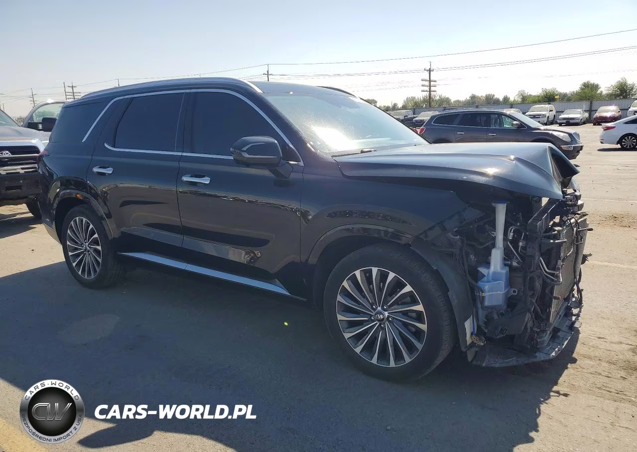 2024 Hyundai Palisade Calligraphy VIN:KM8R7DGE3RU685169 - 4