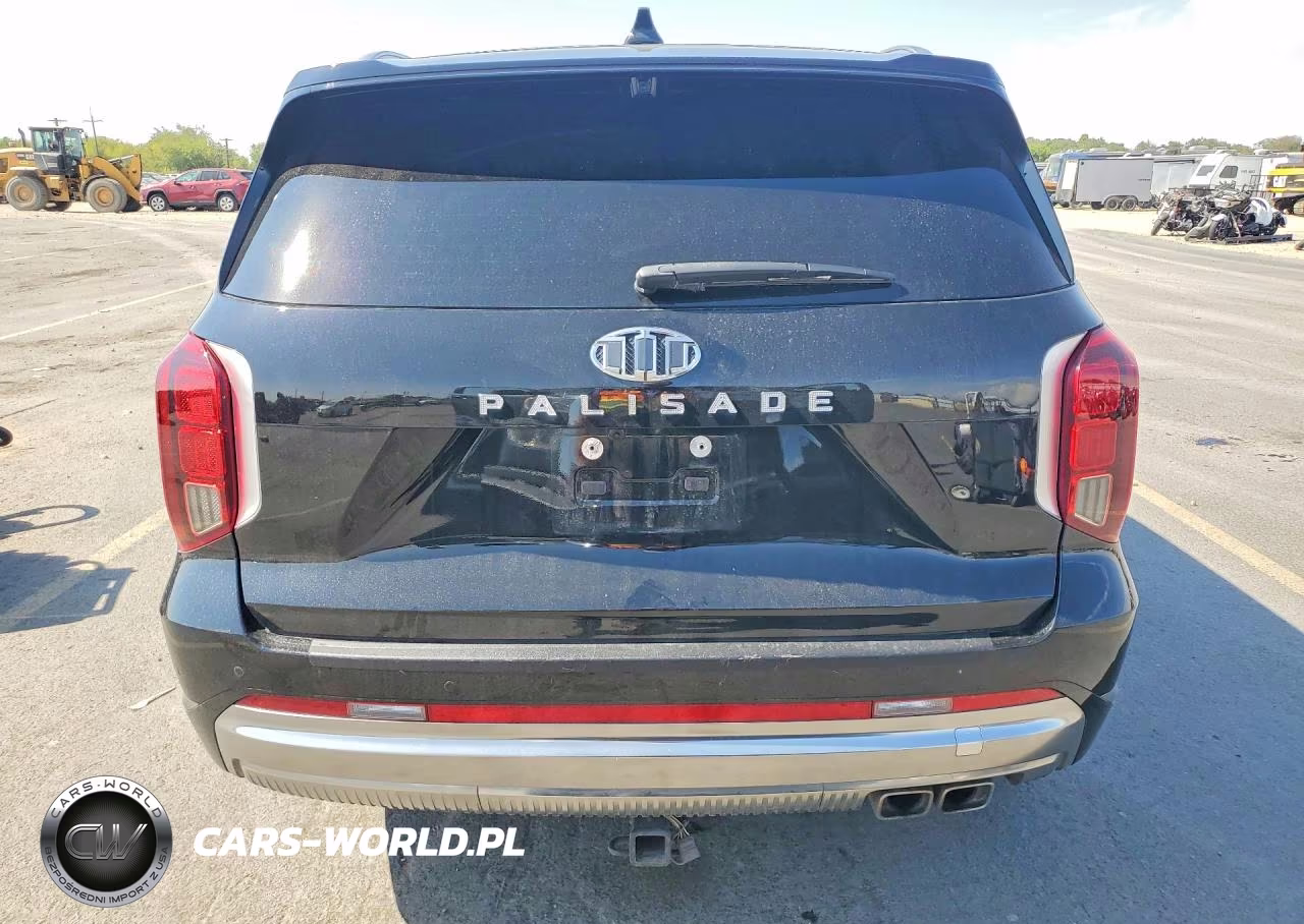 2024 Hyundai Palisade Calligraphy VIN:KM8R7DGE3RU685169 - 6