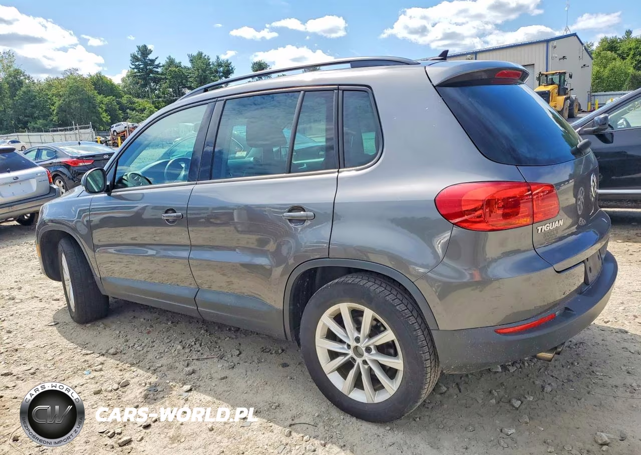 2015 Volkswagen Tiguan S VIN:WVGAV7AXXFW540774 - 2