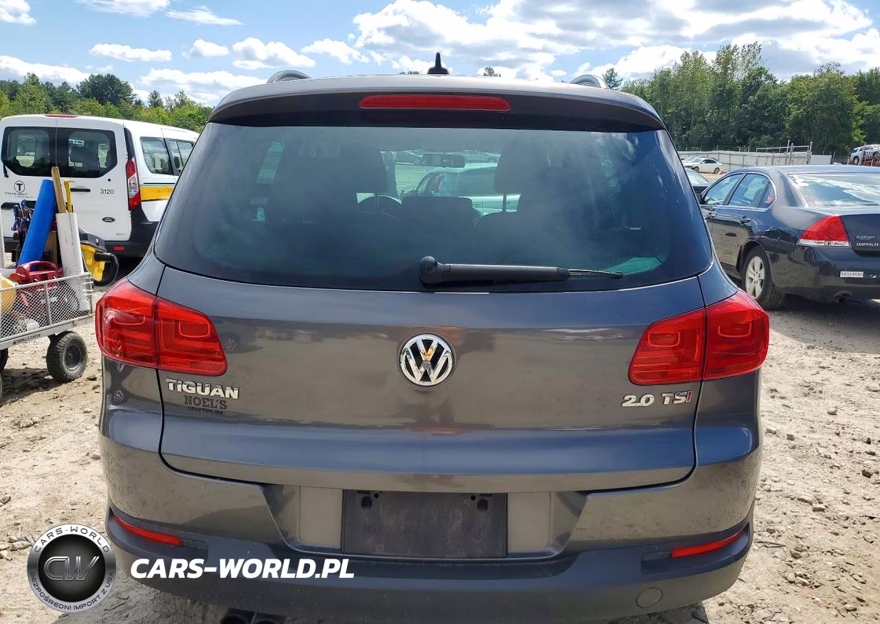 2015 Volkswagen Tiguan S VIN:WVGAV7AXXFW540774 - 6