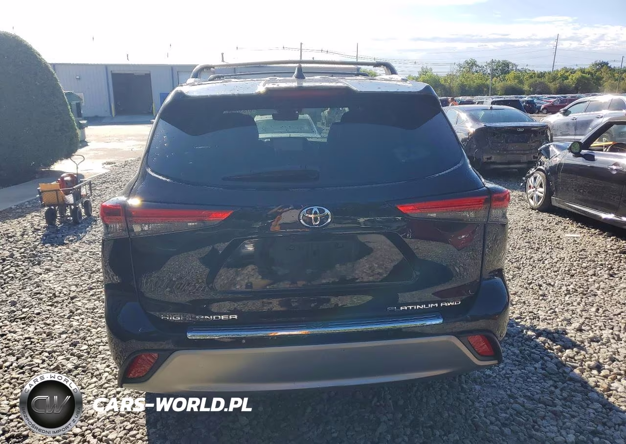 2023 Toyota Highlander Platinum VIN:5TDKDRBH0PS031048 - 6