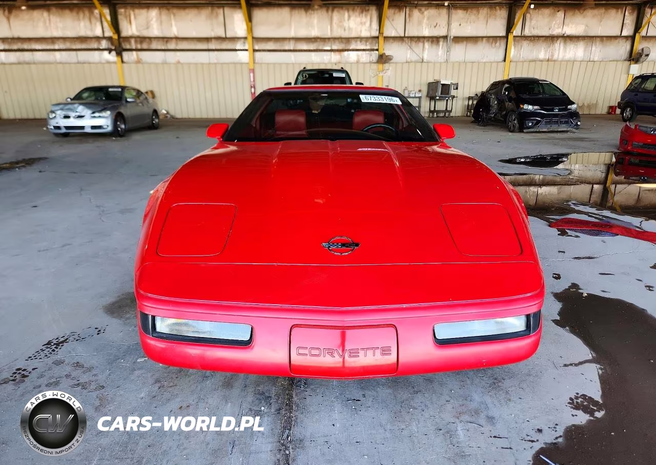 1992 Chevrolet Corvette VIN:1G1YY23P5N5103627 - 5