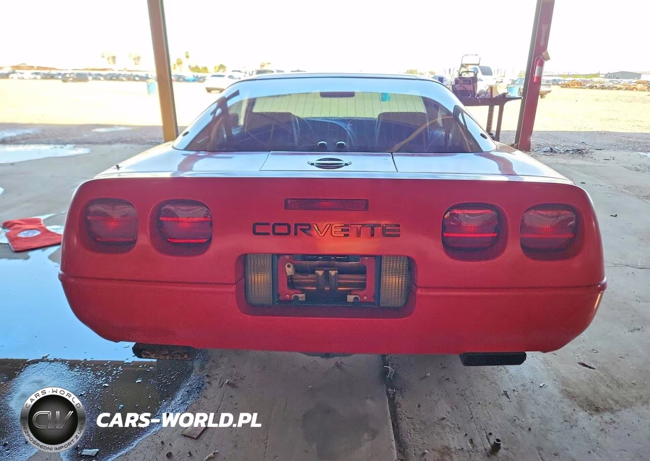 1992 Chevrolet Corvette VIN:1G1YY23P5N5103627 - 6