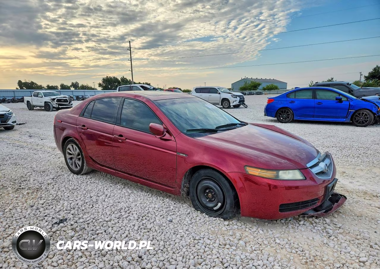 2004 Acura Tl VIN:19UUA66264A038117 - 4