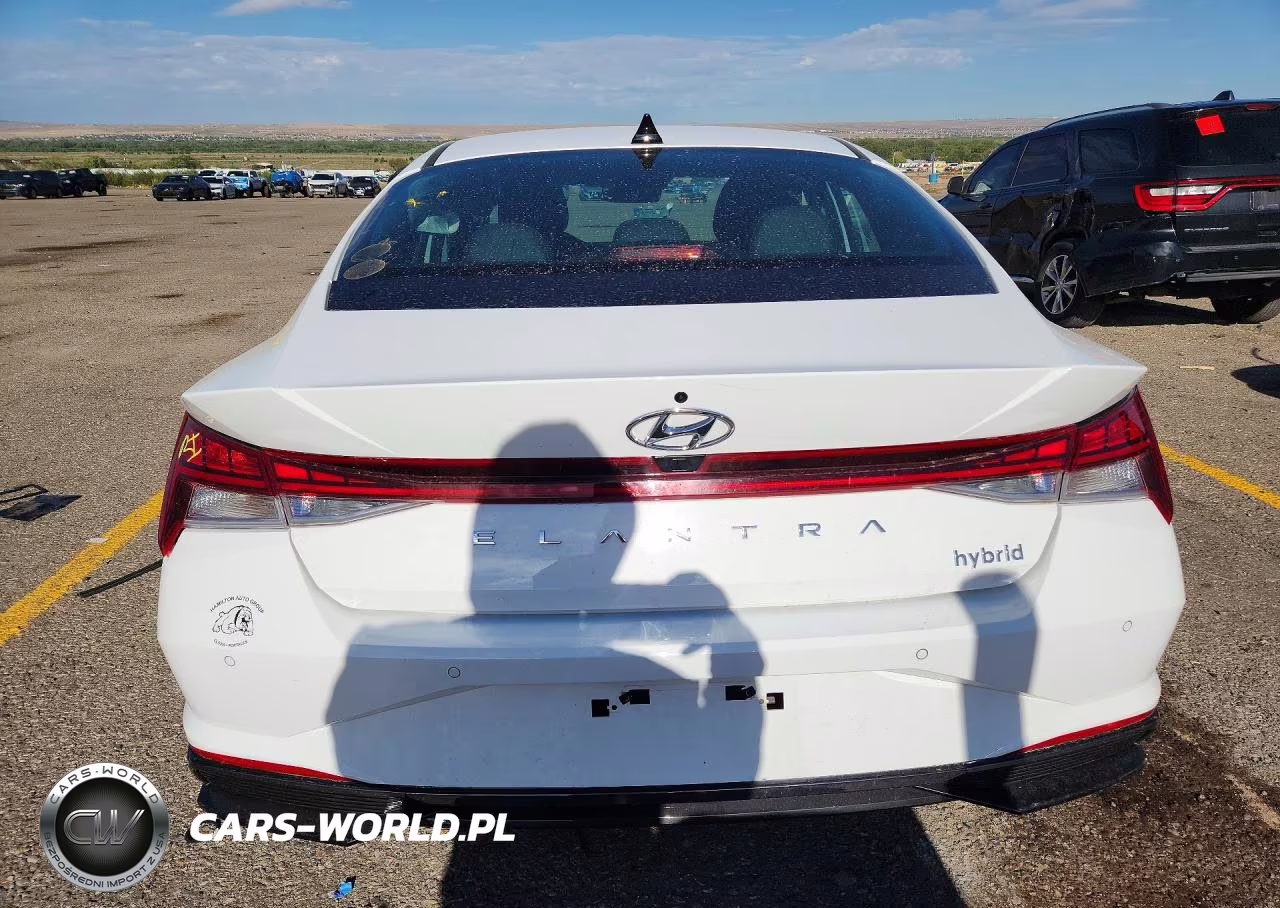 2023 Hyundai Elantra Limited VIN:KMHLN4AJ6PU091366 - 6