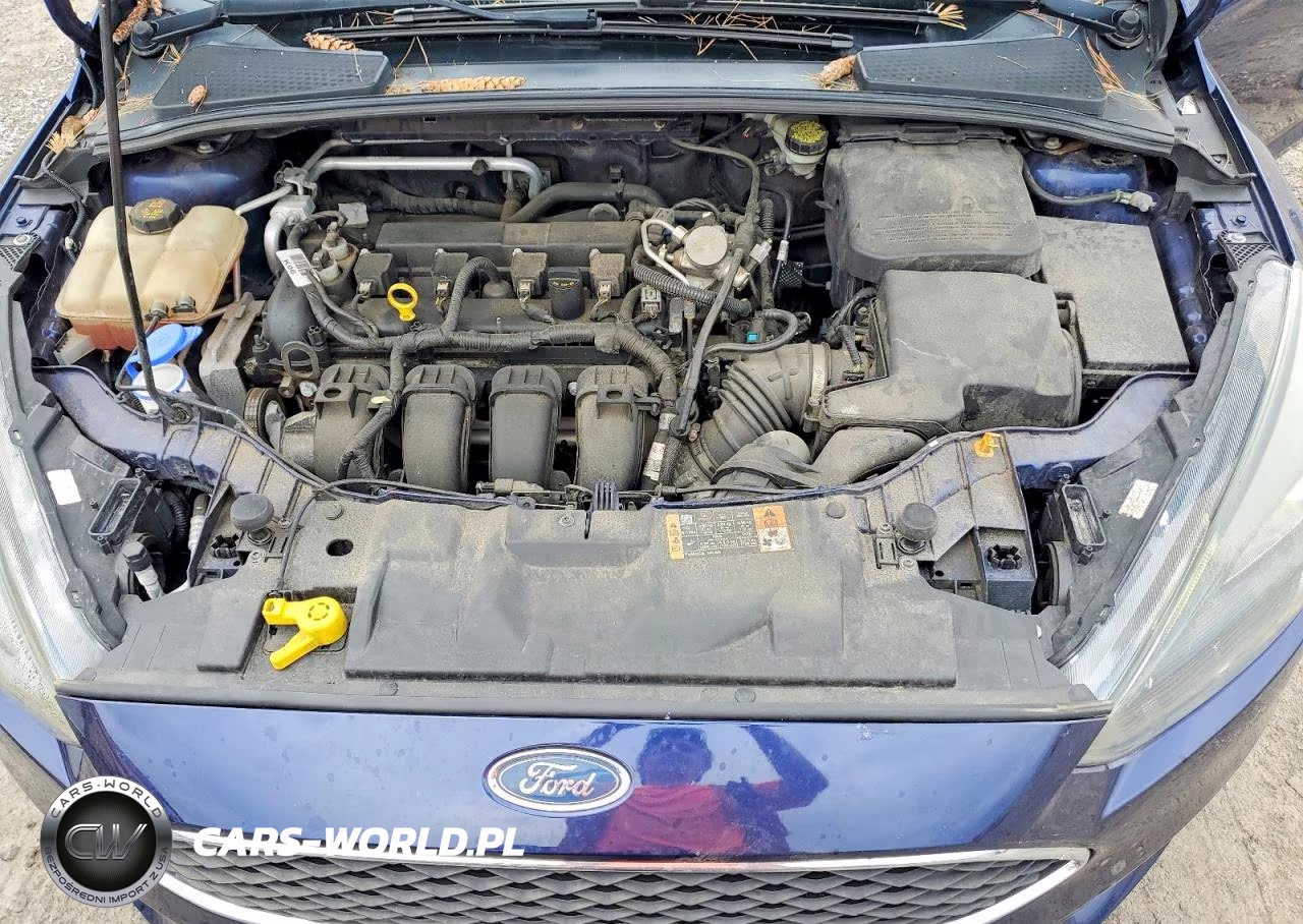 2016 Ford Focus Se VIN:1FADP3F21GL367530 - 11