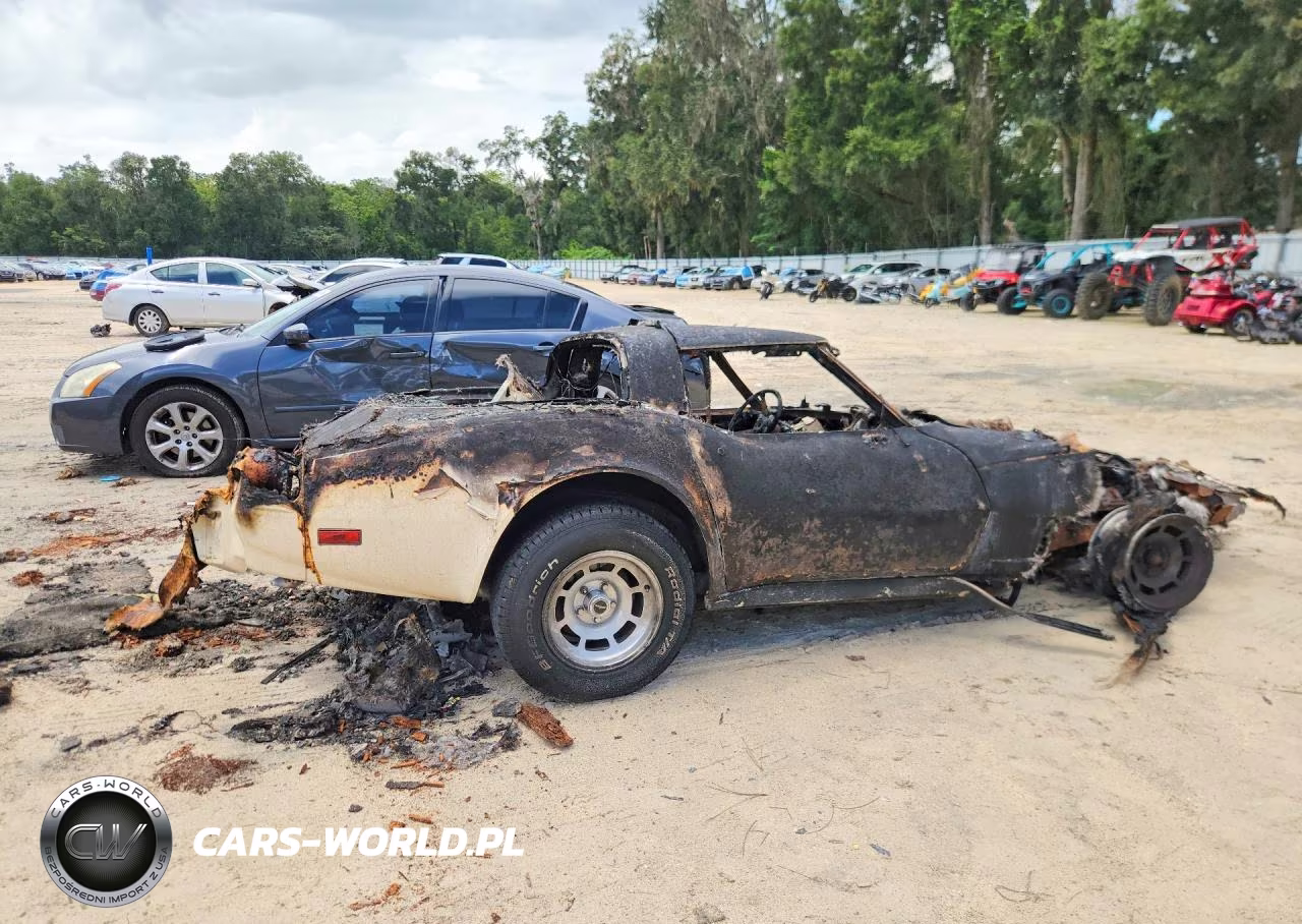 1981 Chevrolet Corvette VIN:1G1AY8763BS412600 - 3
