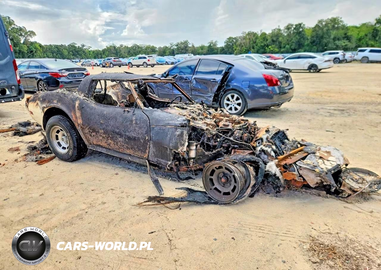 1981 Chevrolet Corvette VIN:1G1AY8763BS412600 - 4