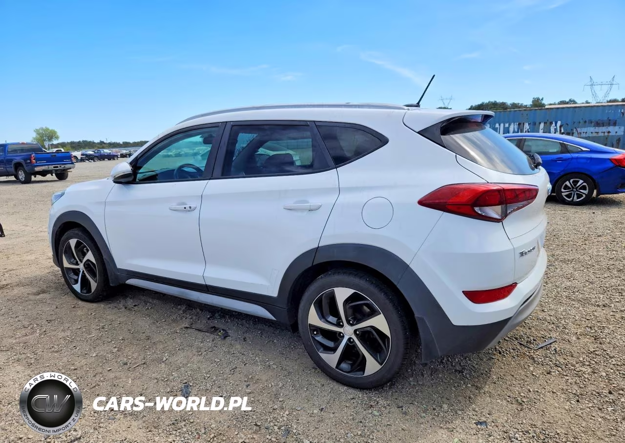 2017 Hyundai Tucson Sport VIN:KM8J33A25HU468982 - 2