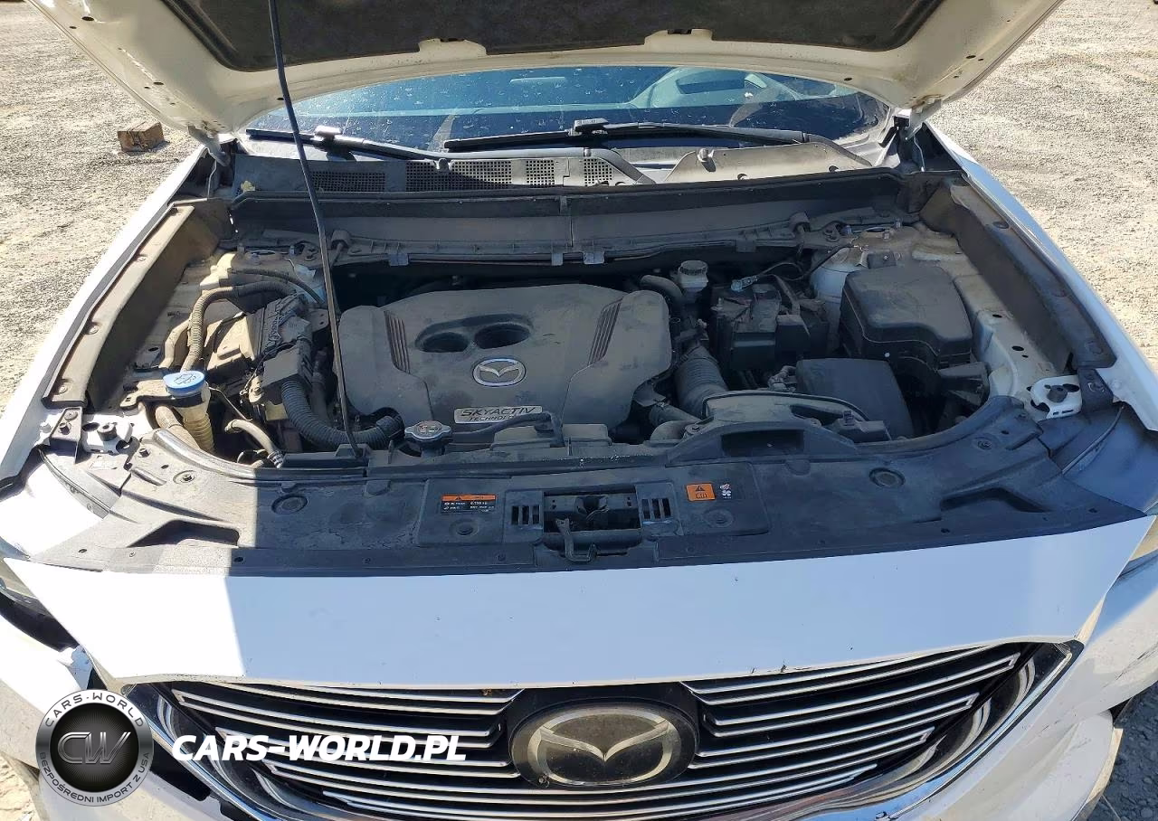 2017 Mazda Cx-9 Grand Touring VIN:JM3TCBDY8H0143247 - 12