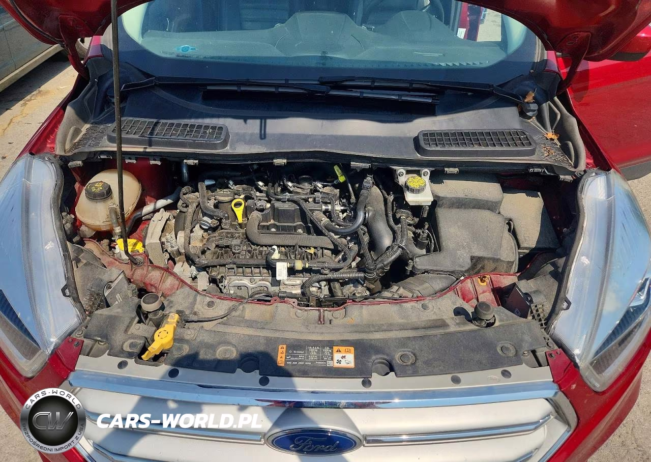 2019 Ford Escape Sel VIN:1FMCU0HD7KUA31732 - 12