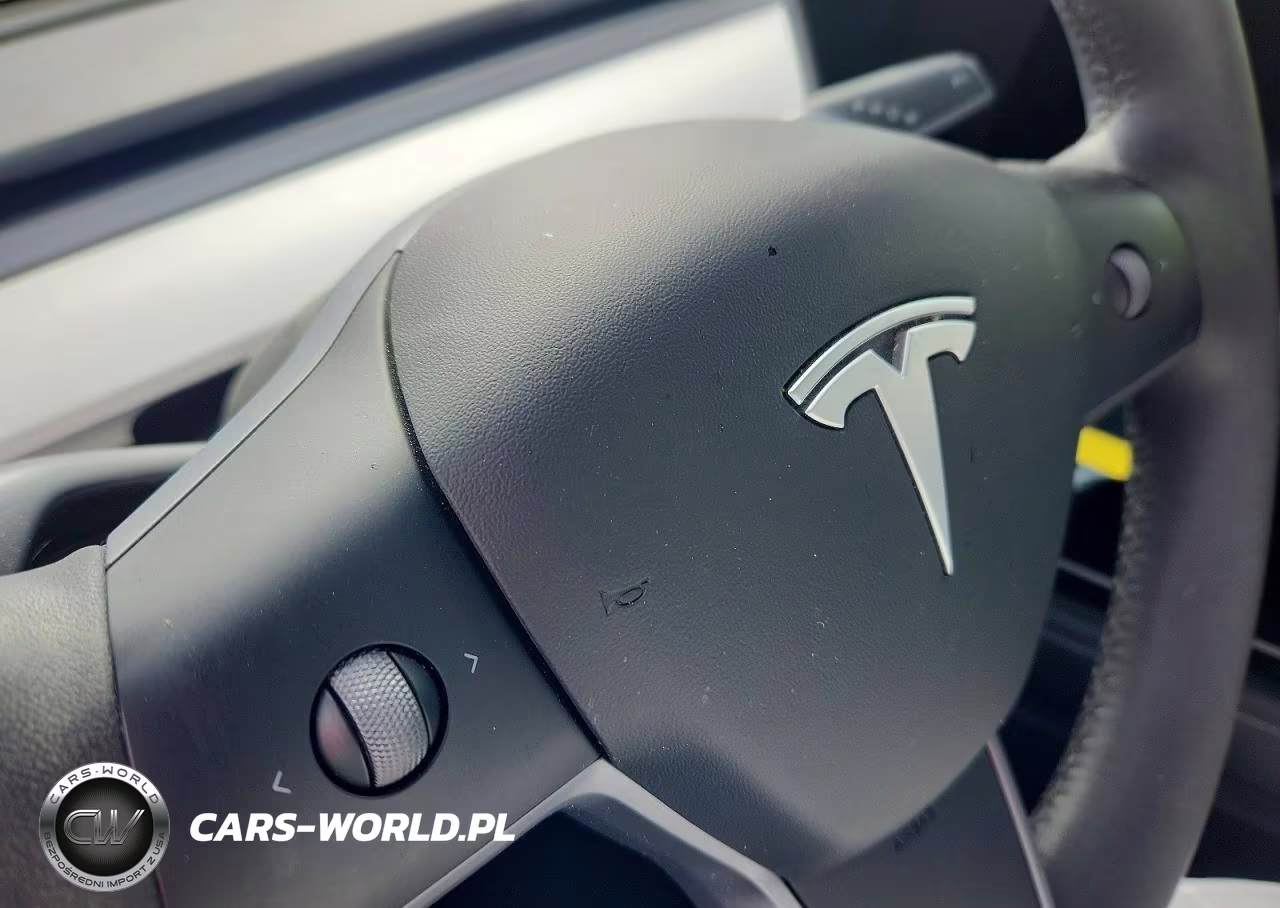 2022 Tesla Model Y VIN:7SAYGDEE4NF391210 - 12