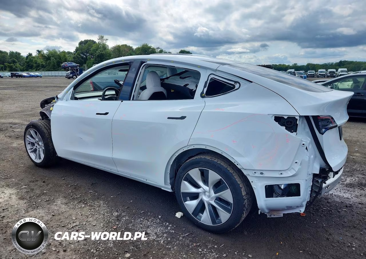2022 Tesla Model Y VIN:7SAYGDEE4NF391210 - 2