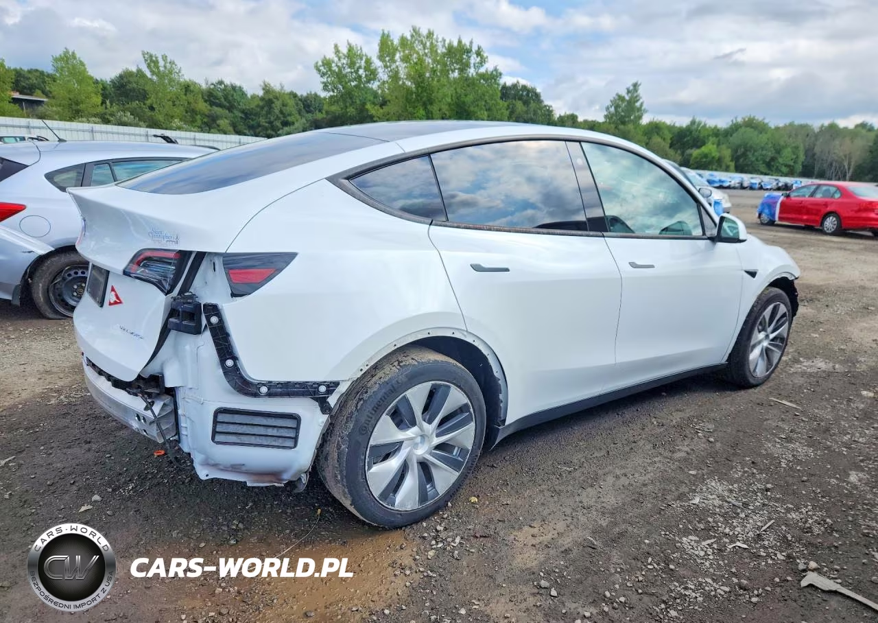 2022 Tesla Model Y VIN:7SAYGDEE4NF391210 - 3