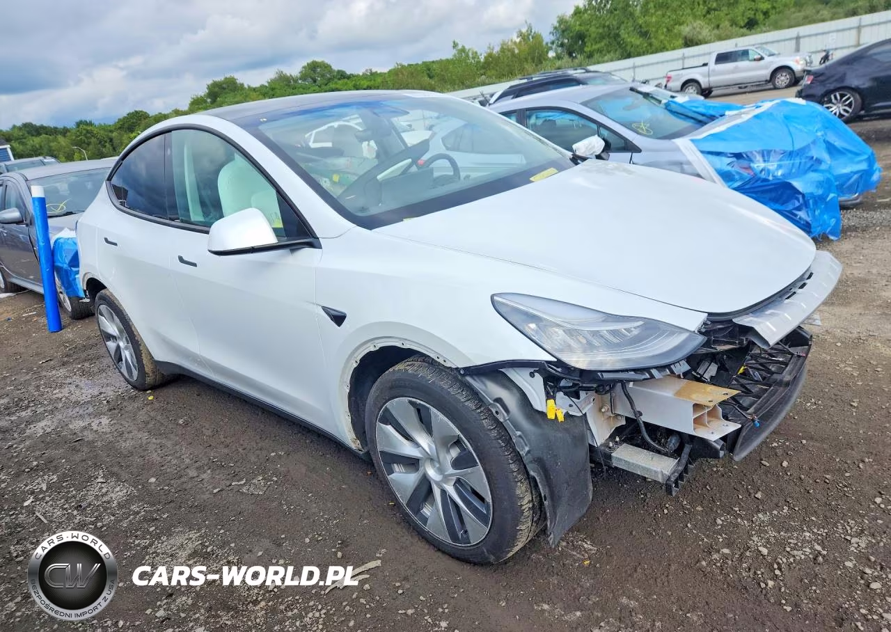 2022 Tesla Model Y VIN:7SAYGDEE4NF391210 - 4