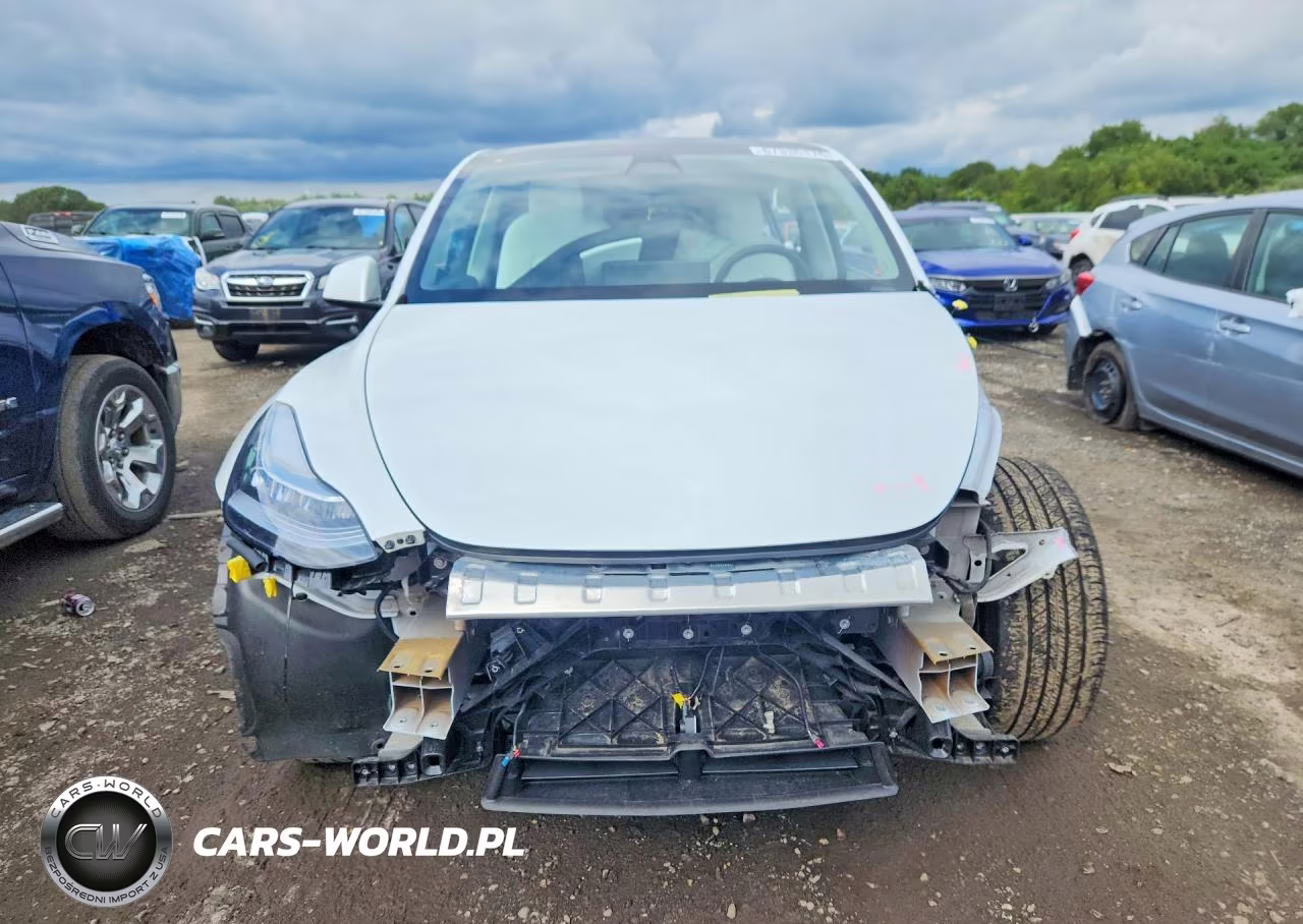 2022 Tesla Model Y VIN:7SAYGDEE4NF391210 - 5