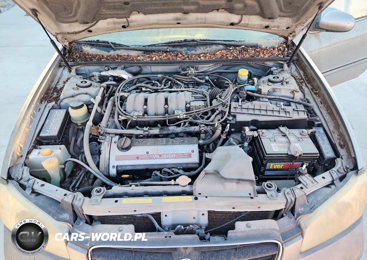 2001 Nissan Maxima Gxe VIN:JN1CA31D31T821285 - 11