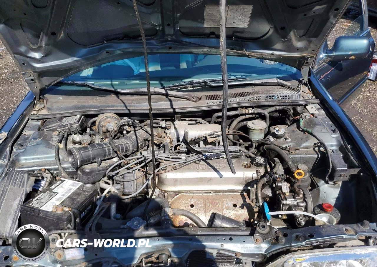 1997 Honda Accord Lx VIN:1HGCD5638VA241839 - 11