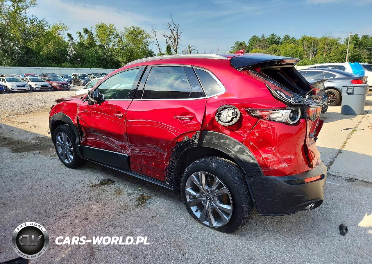 2021 Mazda Cx-30 Premium VIN:3MVDMBDL1MM203034 - 2