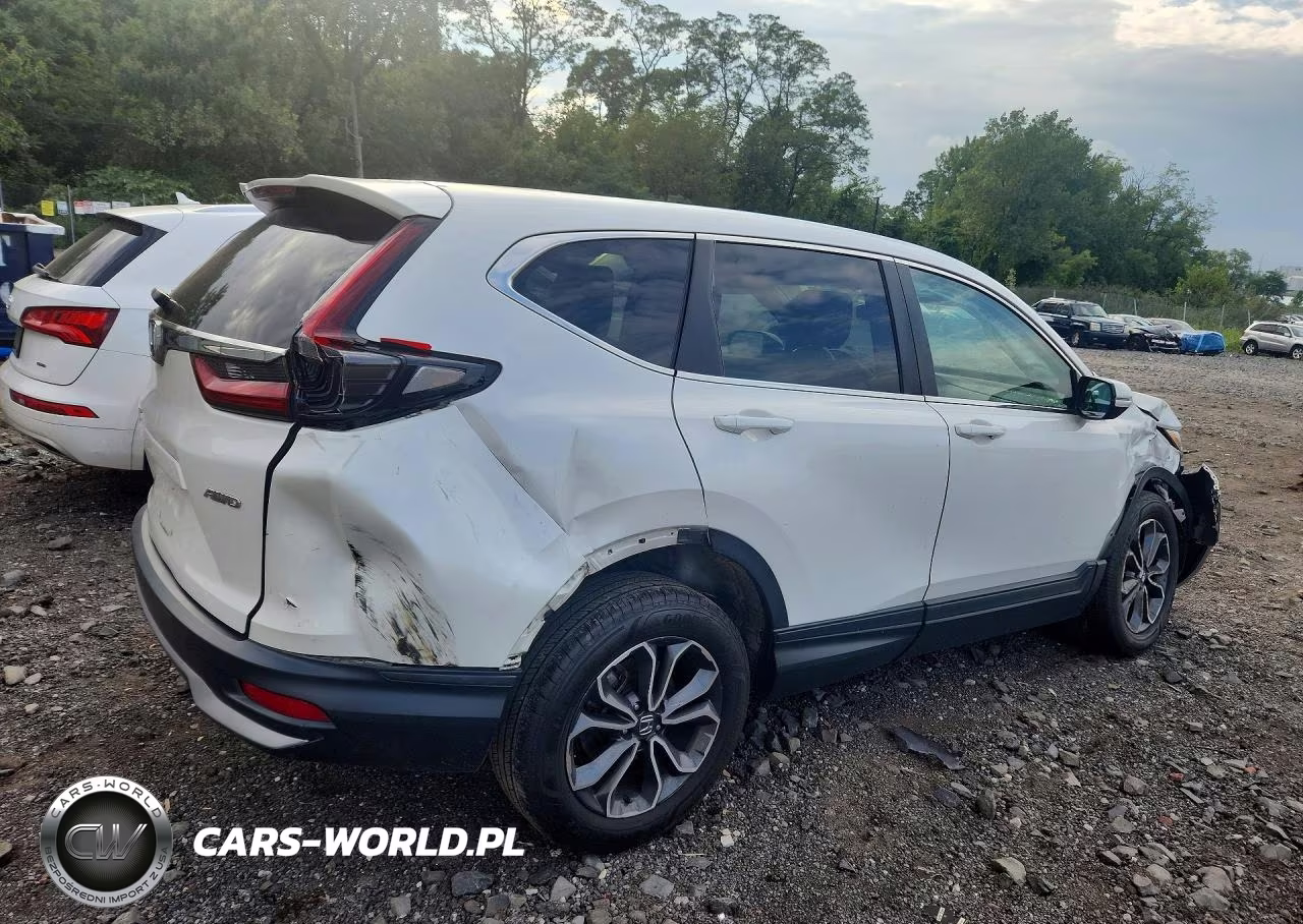 2020 Honda Cr-V Exl VIN:5J6RW2H8XLL034973 - 3