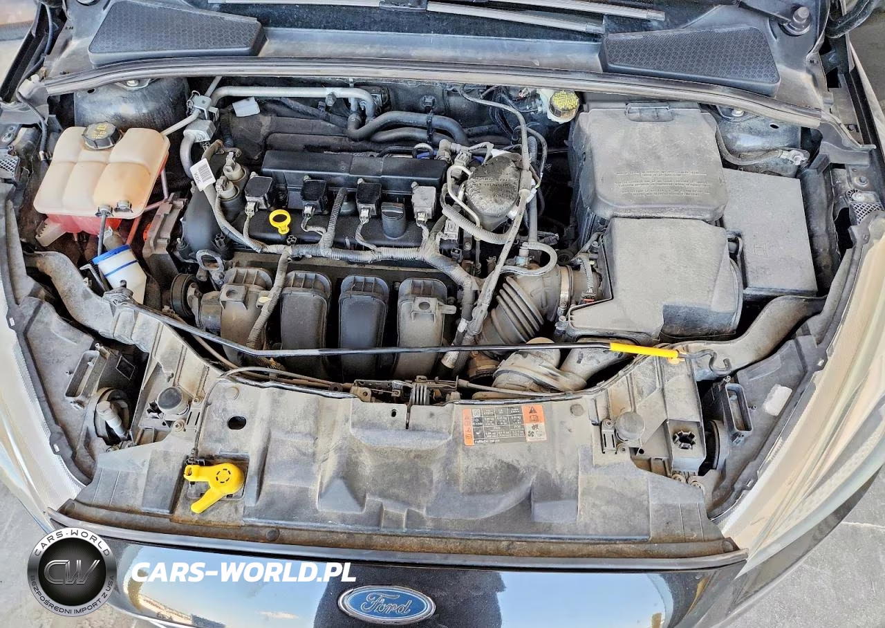 2015 Ford Focus Se VIN:1FADP3F26FL337034 - 11