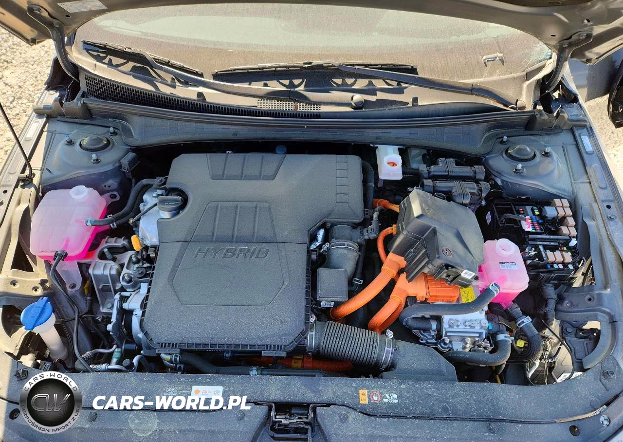 2025 Hyundai Elantra Hybrid Sel Sport VIN:KMHLM4DJ1SU146166 - 11