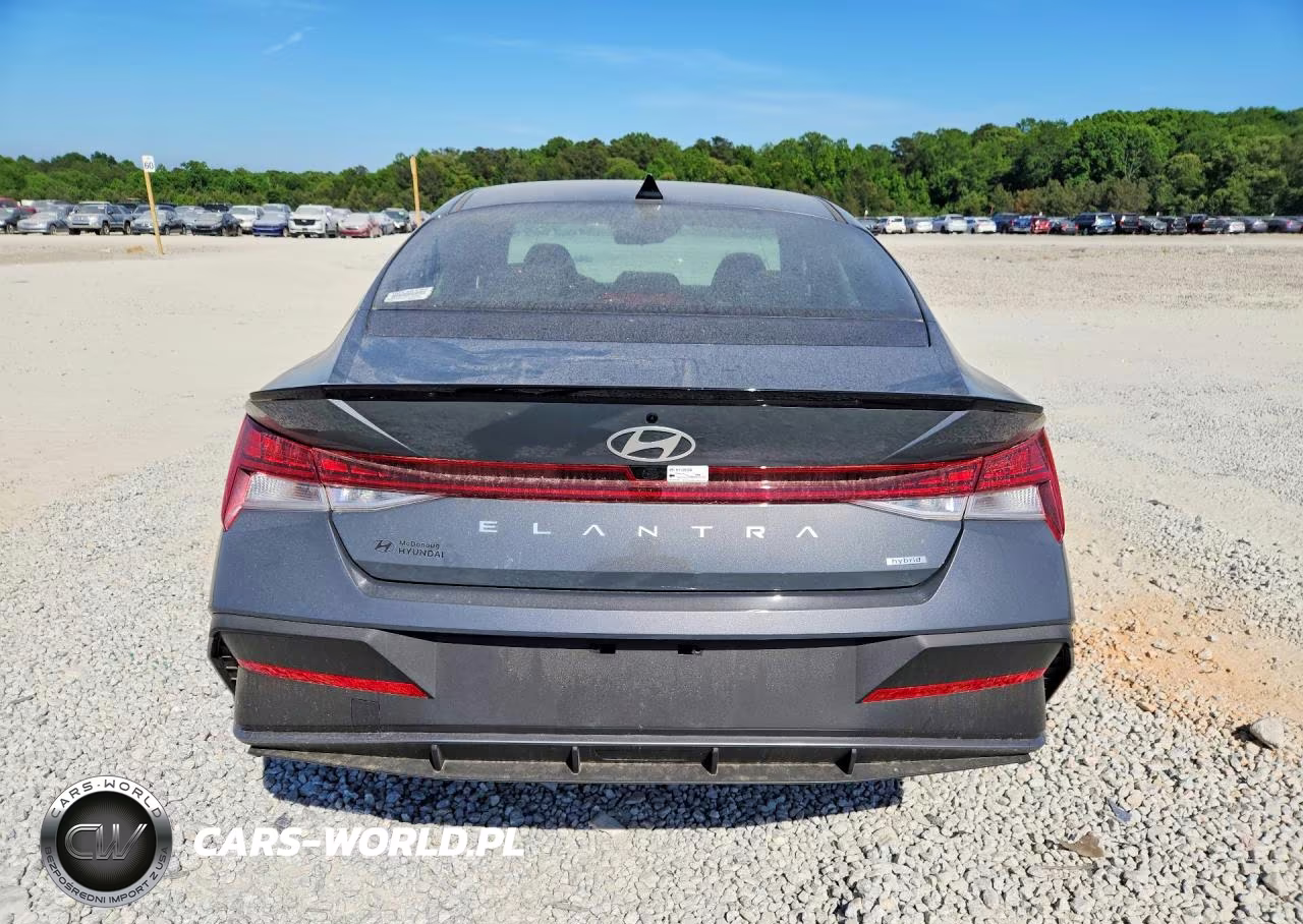 2025 Hyundai Elantra Hybrid Sel Sport VIN:KMHLM4DJ1SU146166 - 6