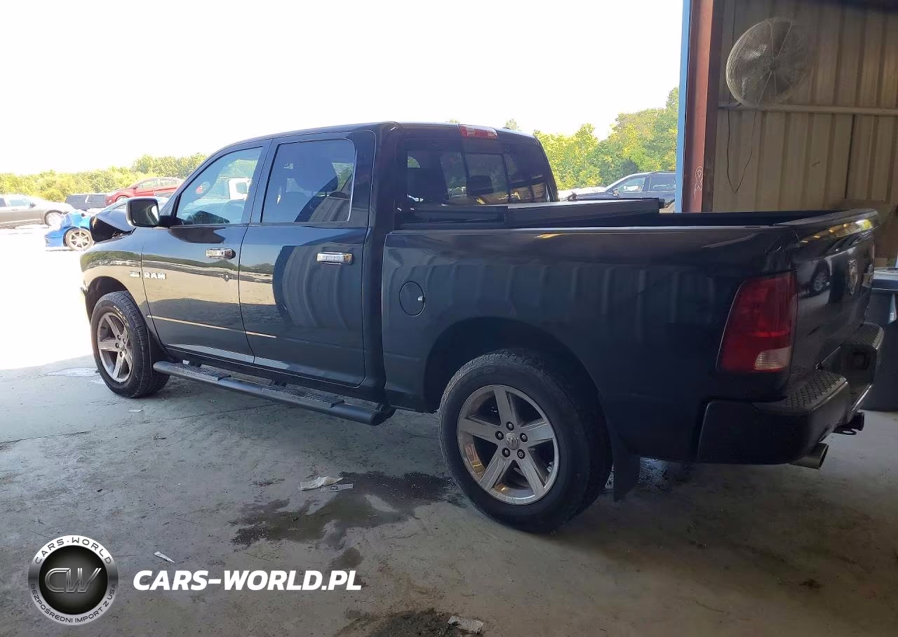 2009 Dodge Ram 1500 VIN:1D3HV13T89S721644 - 2