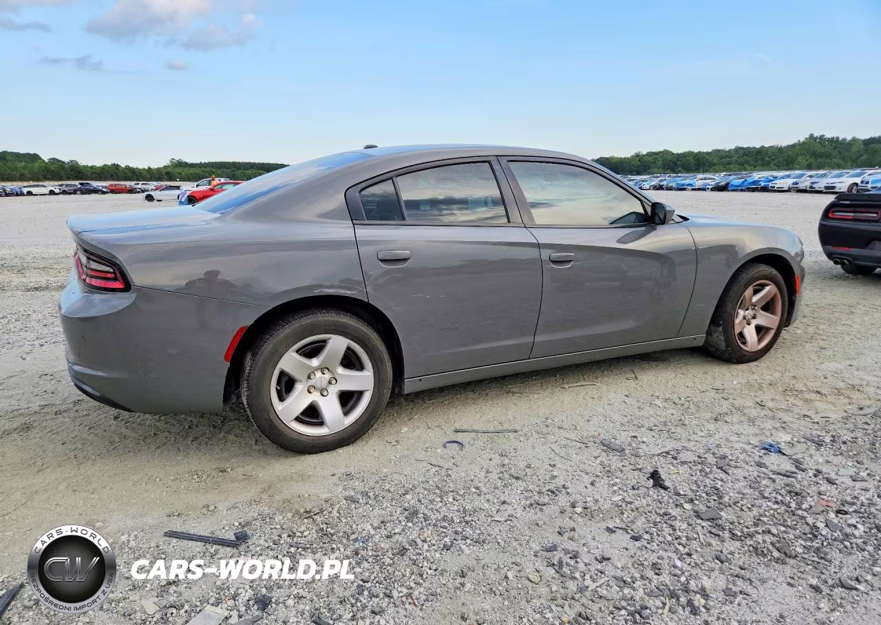 2019 Dodge Charger Police VIN:2C3CDXAGXKH638653 - 3
