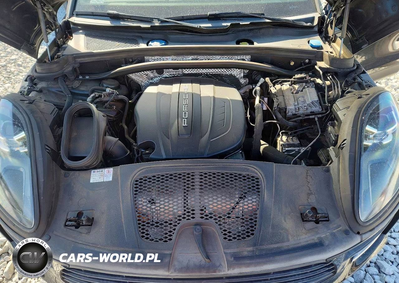 2019 Porsche Macan VIN:WP1AA2A5XKLB05555 - 11
