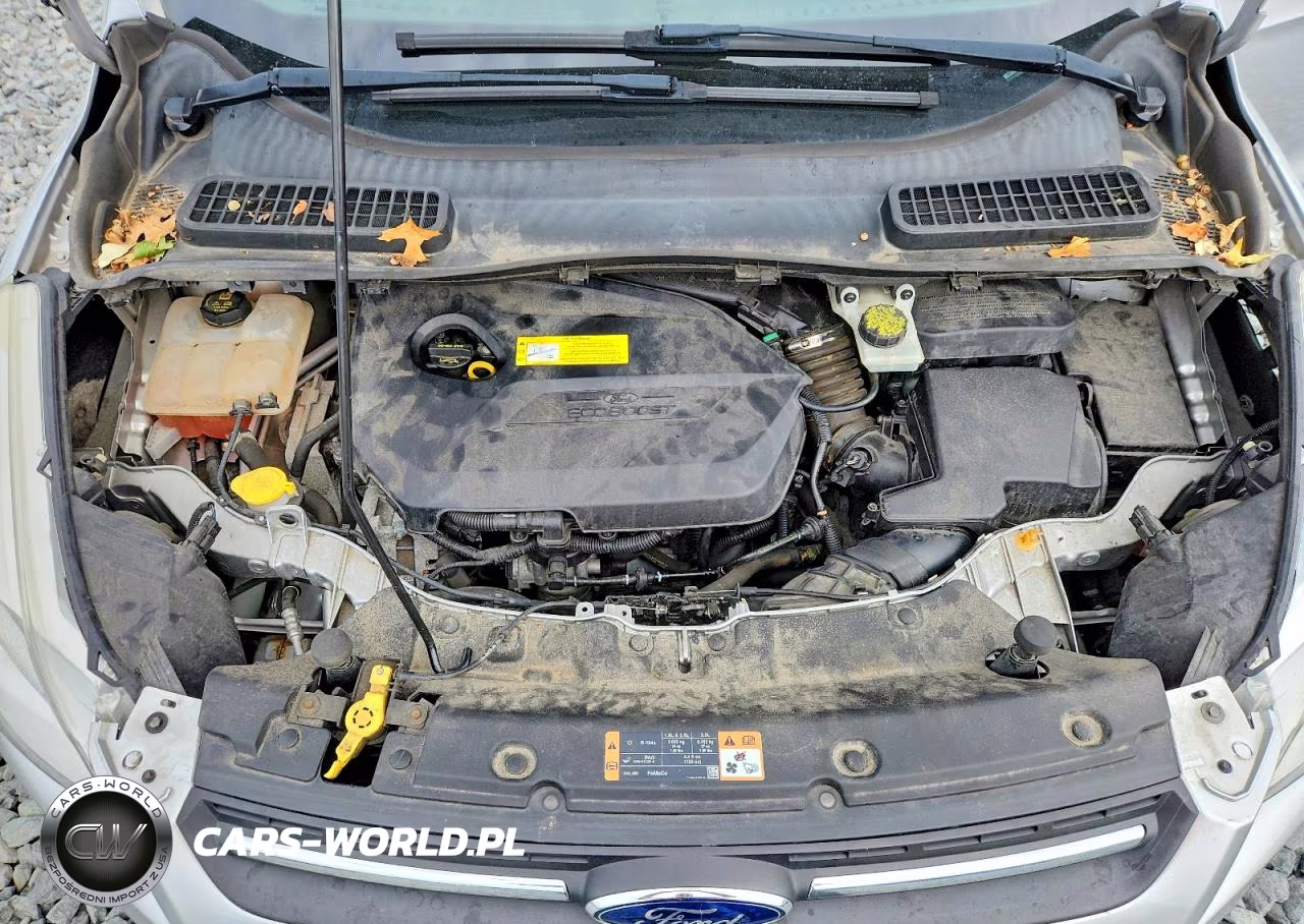 2015 Ford Escape Se VIN:1FMCU0GXXFUB69993 - 12