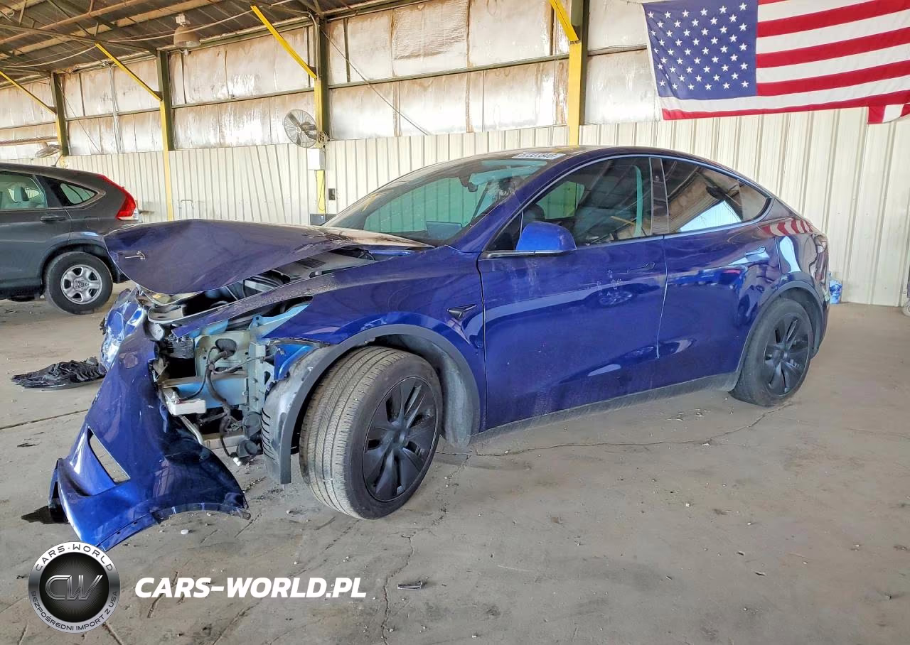 2024 Tesla Model Y VIN:7SAYGDED7RF129033 - 1