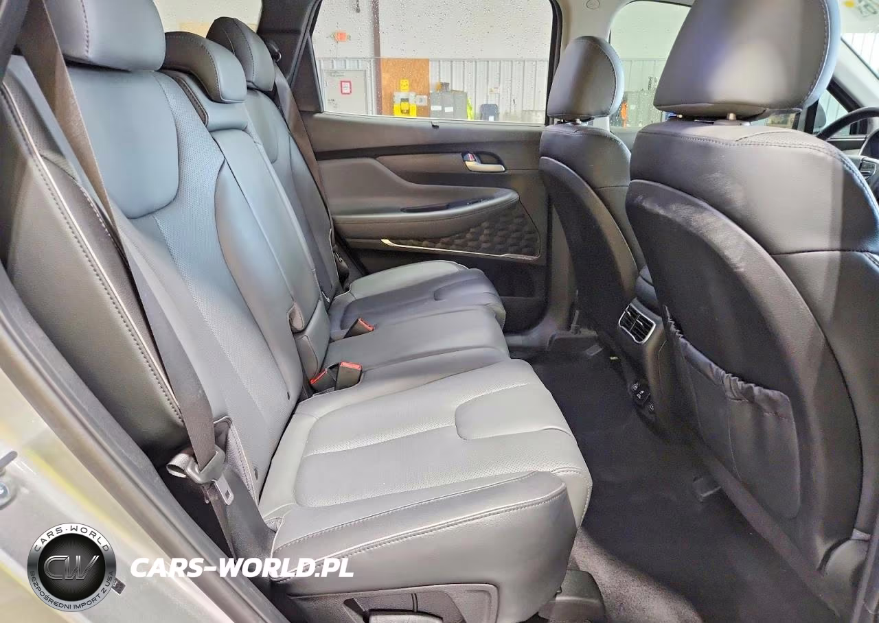 2023 Hyundai Santa Fe Limited VIN:5NMS4DAL1PH577563 - 10