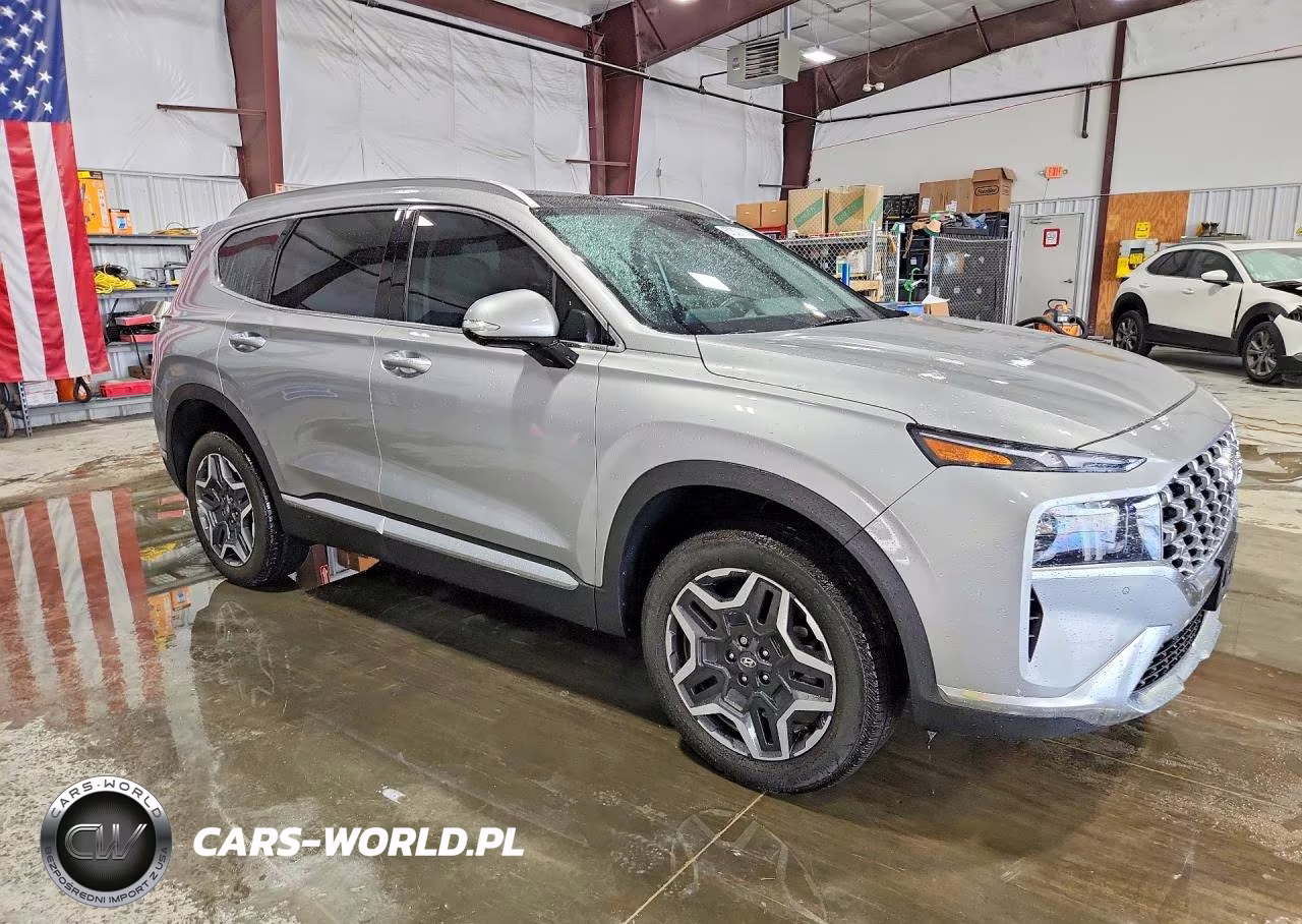 2023 Hyundai Santa Fe Limited VIN:5NMS4DAL1PH577563 - 4