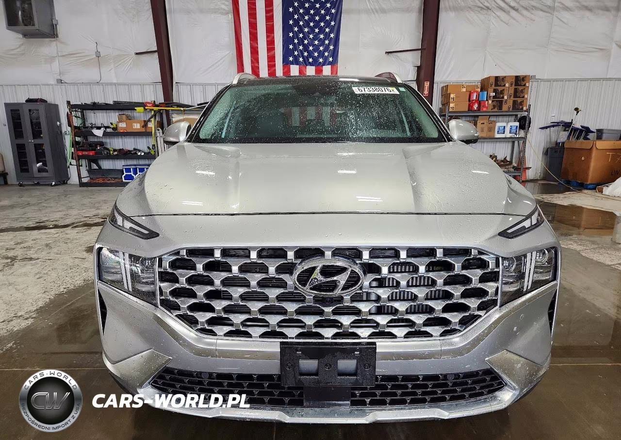 2023 Hyundai Santa Fe Limited VIN:5NMS4DAL1PH577563 - 5