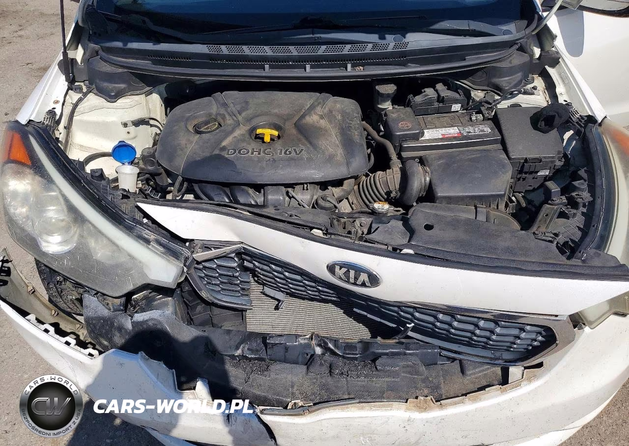 2015 Kia Forte Lx VIN:KNAFX4A67F5400193 - 11