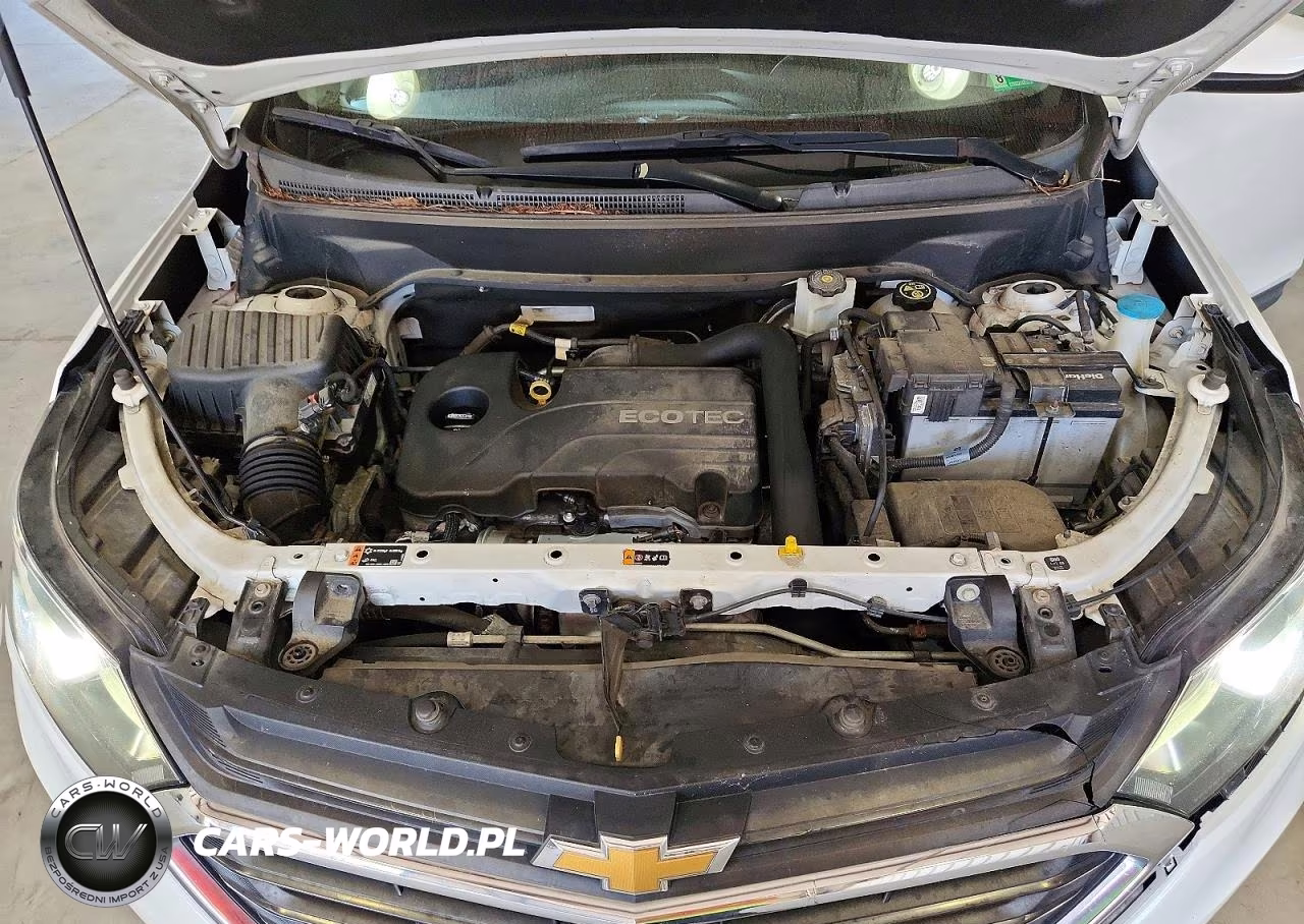 2019 Chevrolet Equinox Lt VIN:2GNAXUEV8K6179630 - 12