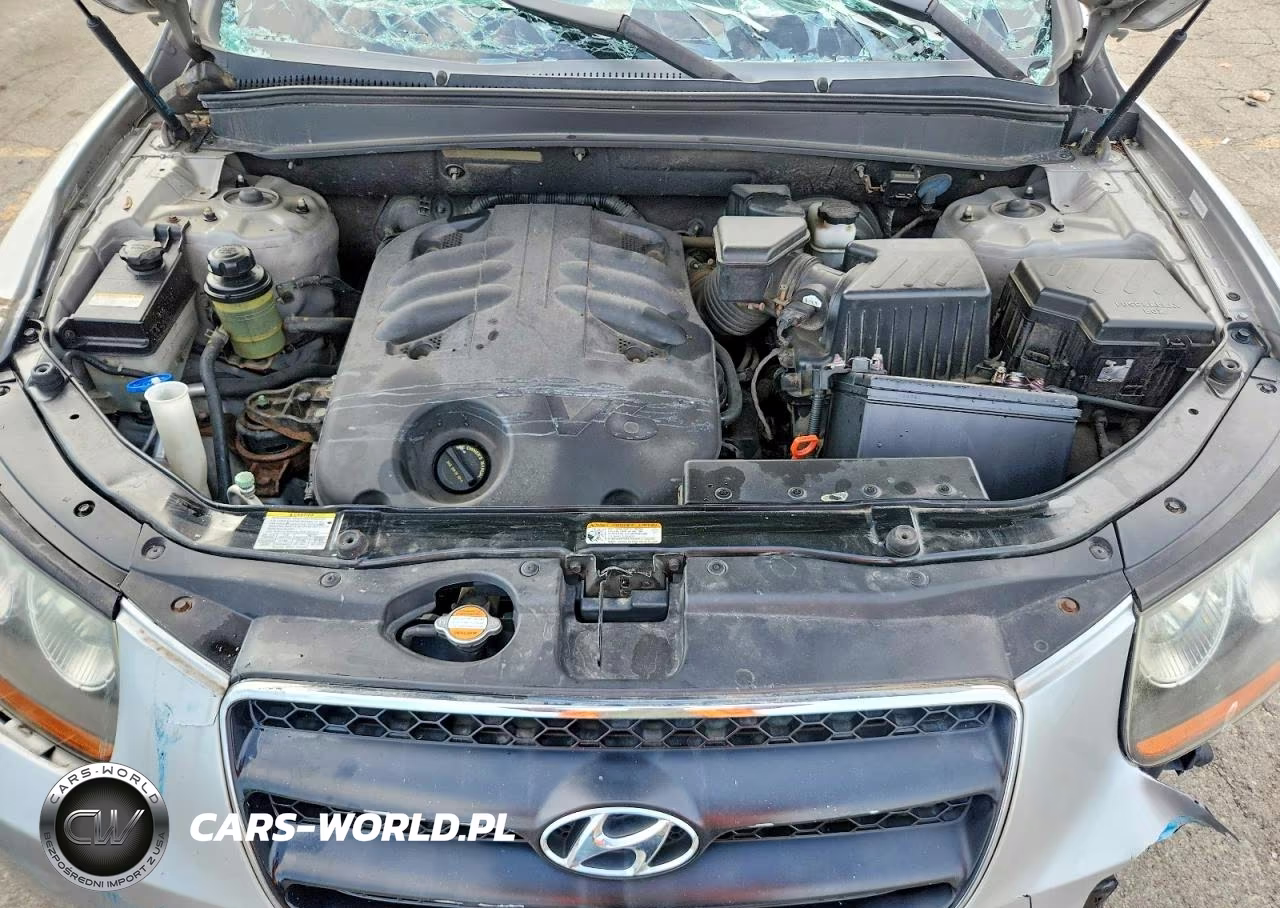 2008 Hyundai Santa Fe Se VIN:5NMSH13E48H201460 - 12