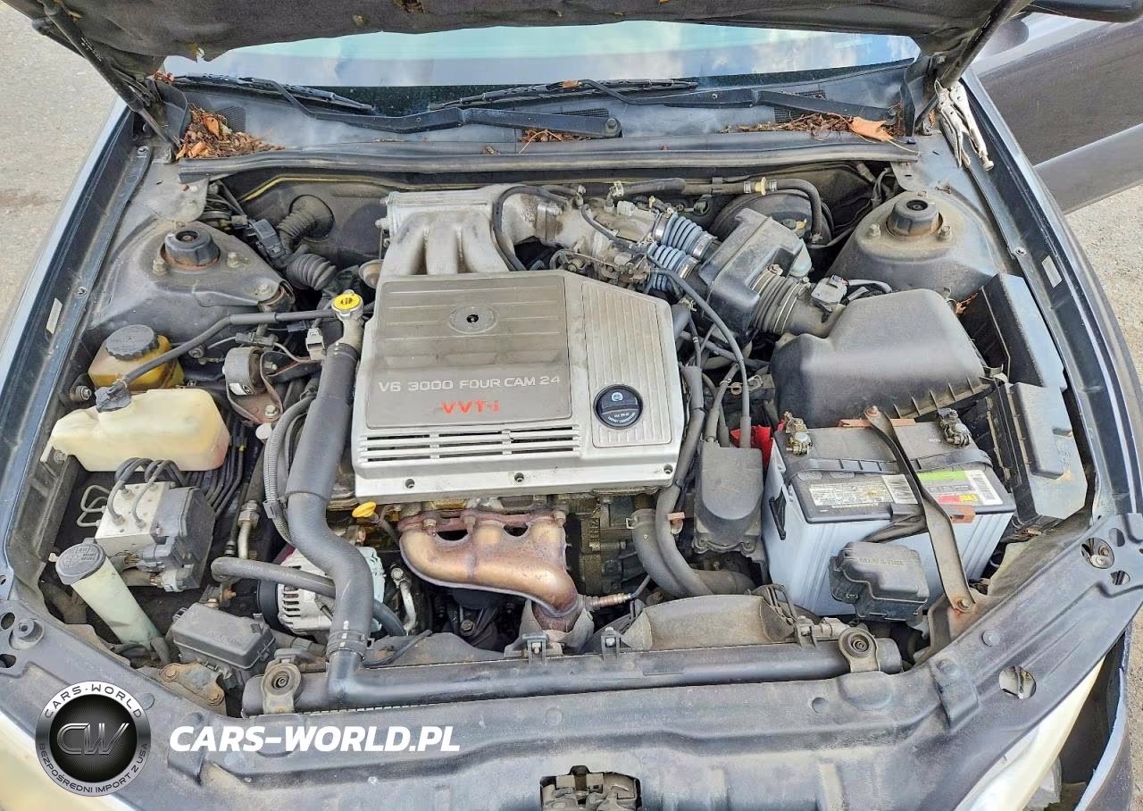 2000 Lexus Es 300 VIN:JT8BF28G4Y0271173 - 11