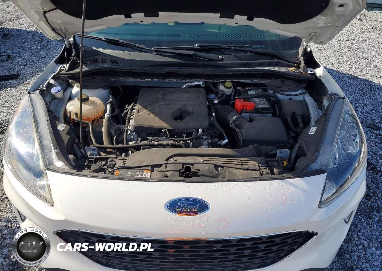 2020 Ford Escape Sel VIN:1FMCU0H60LUC05546 - 12