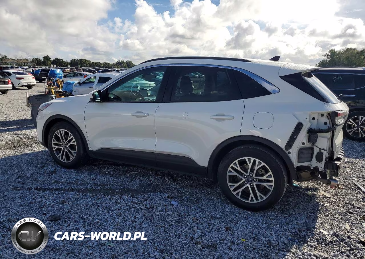 2020 Ford Escape Sel VIN:1FMCU0H60LUC05546 - 2