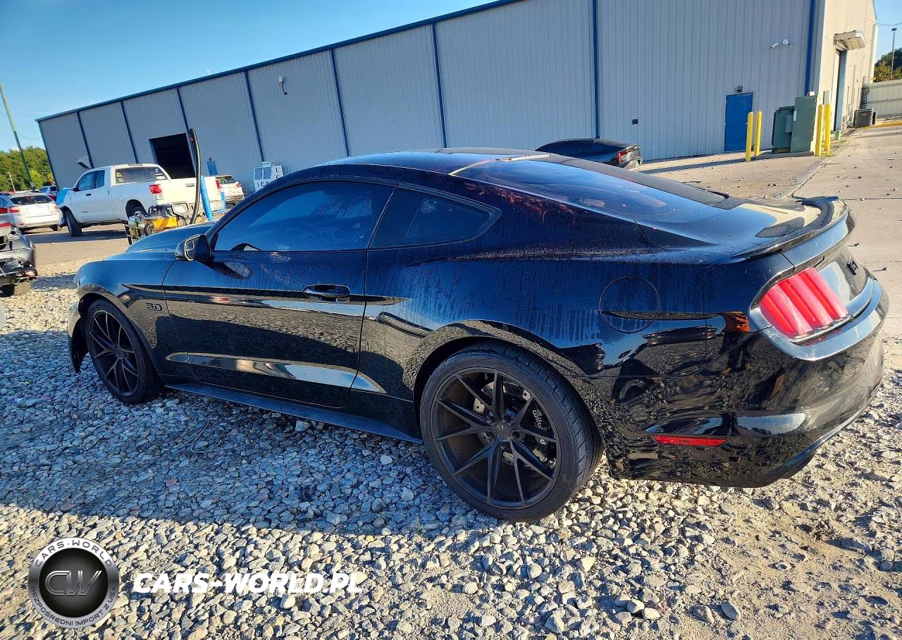 2017 Ford Mustang Gt VIN:1FA6P8CF4H5270664 - 2