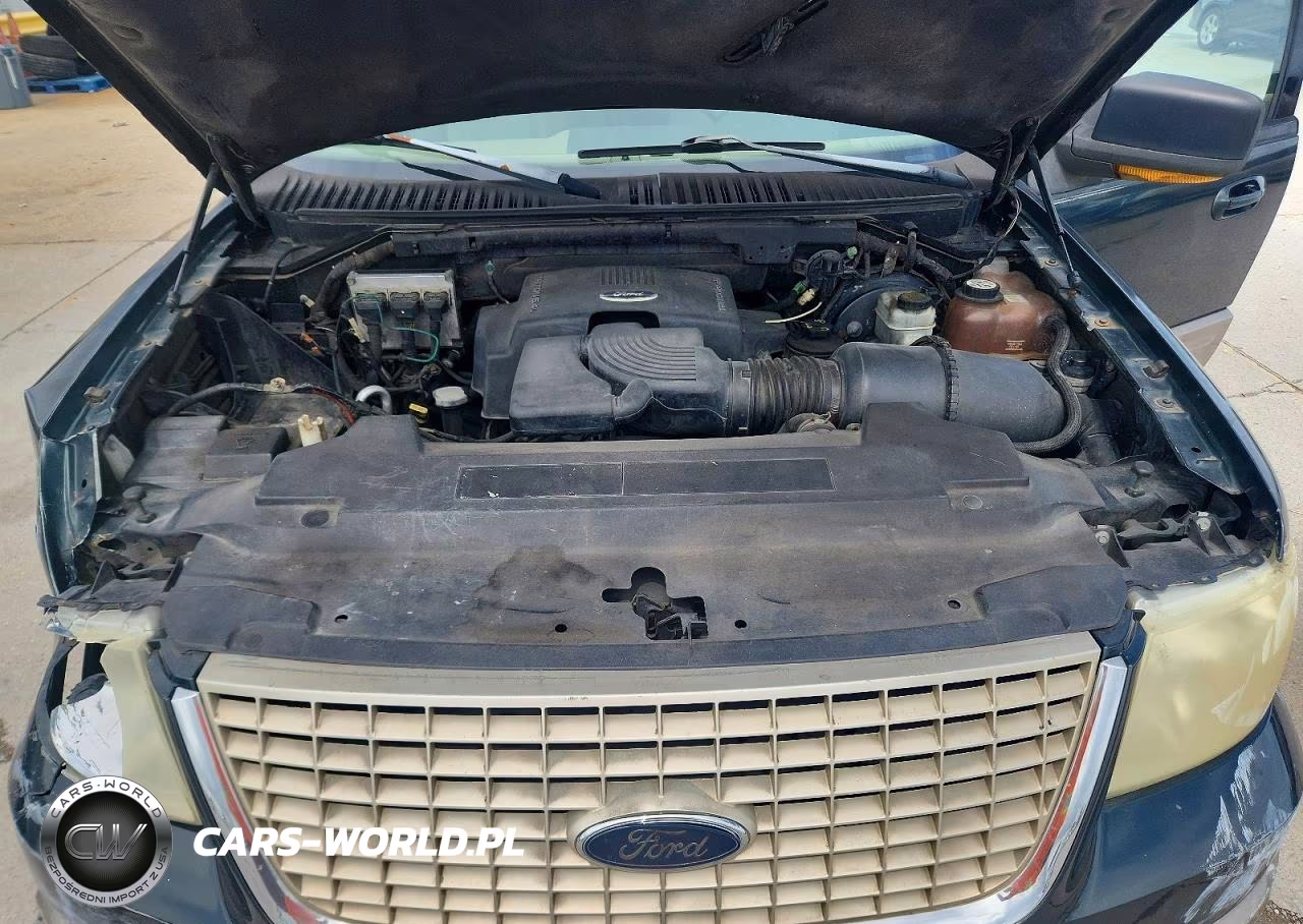 2003 Ford Expedition Eddie Bauer VIN:1FMEU17L63LA00616 - 12