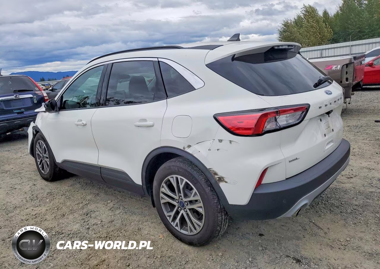 2022 Ford Escape Sel VIN:1FMCU0H6XNUB94087 - 2