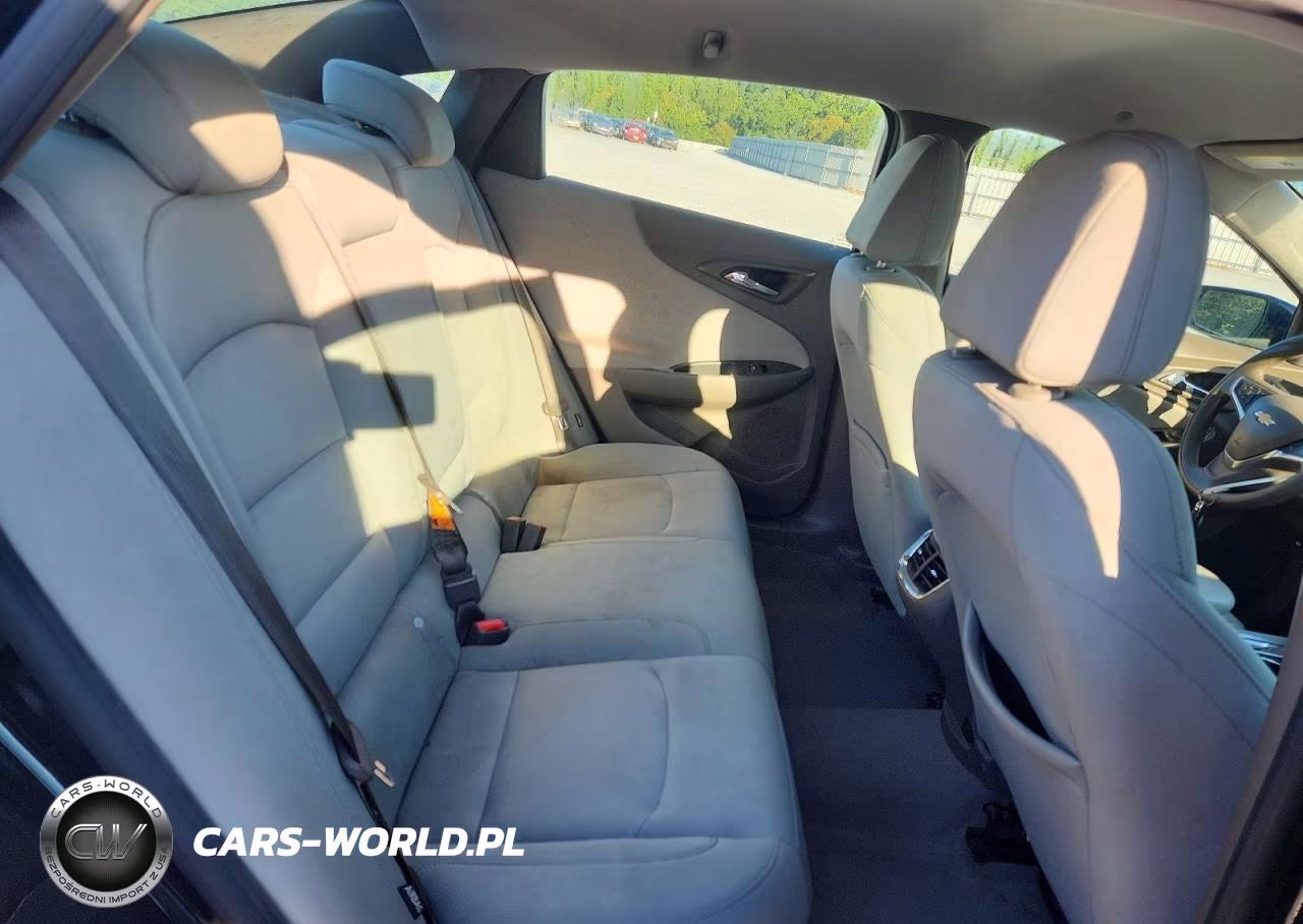 2019 Chevrolet Malibu Lt VIN:1G1ZD5STXKF138878 - 10