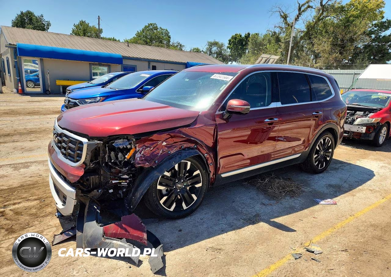 2024 Kia Telluride Sx VIN:5XYP5DGC3RG519879 - 1