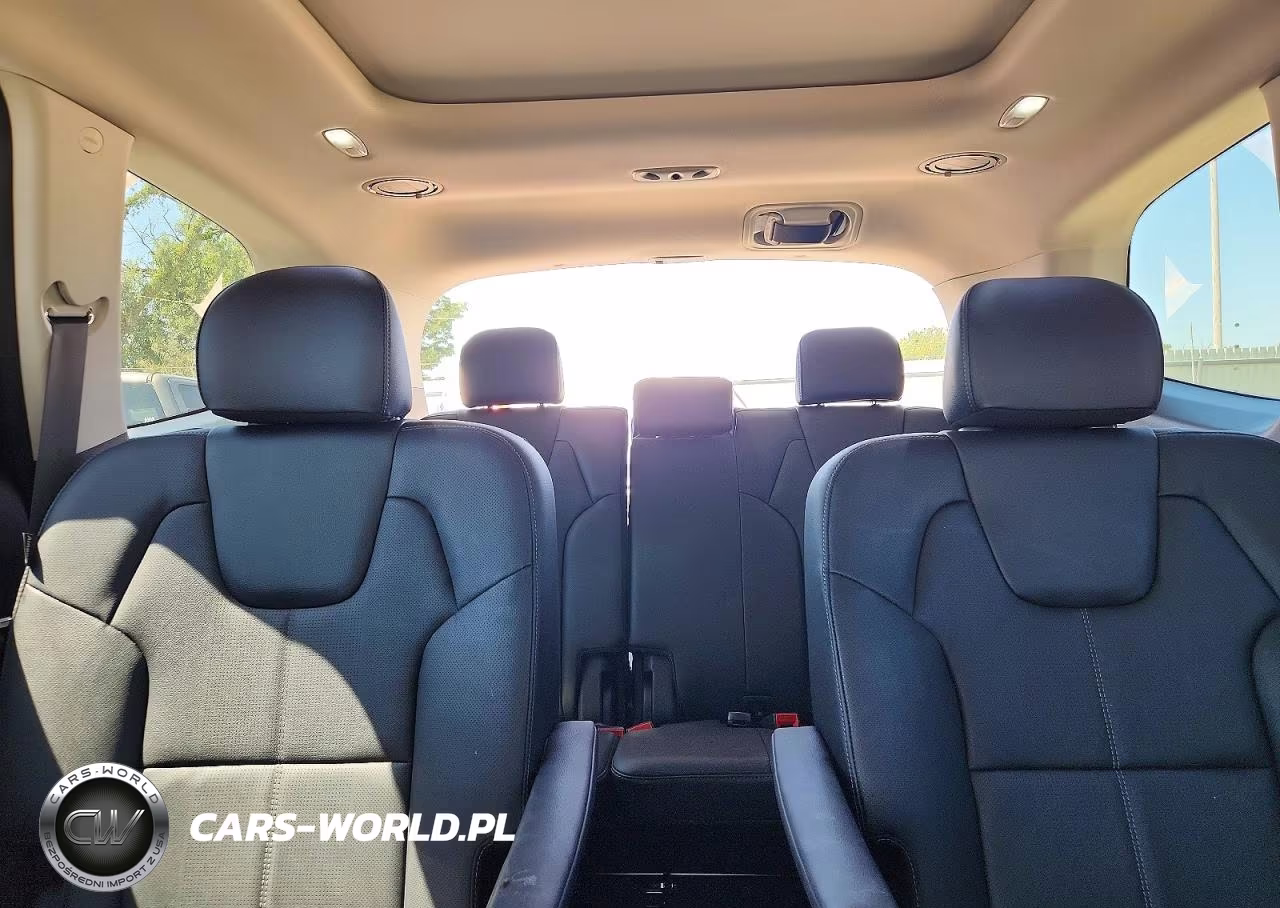 2024 Kia Telluride Sx VIN:5XYP5DGC3RG519879 - 10