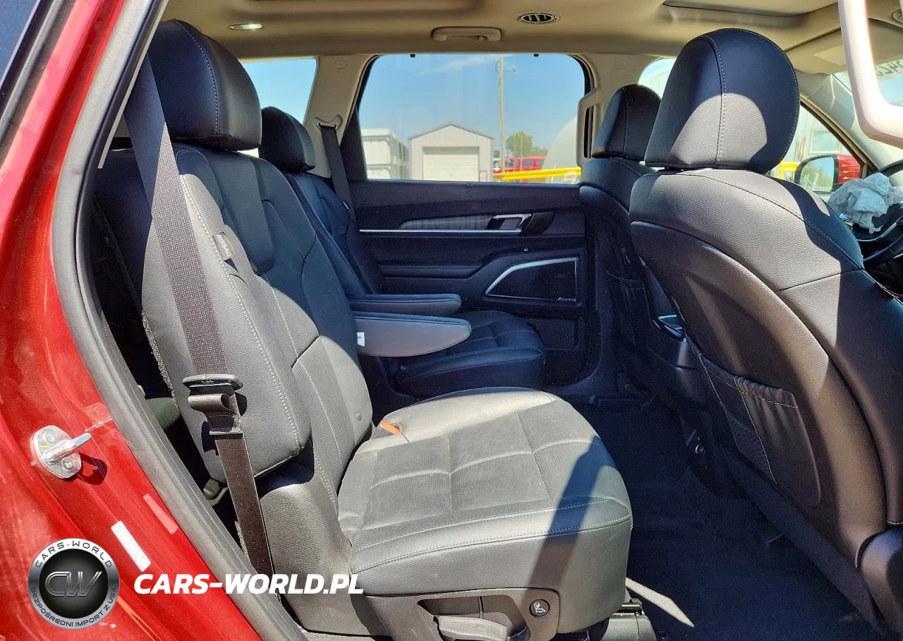 2024 Kia Telluride Sx VIN:5XYP5DGC3RG519879 - 11